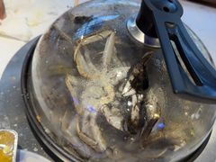 -半岛听涛蒸汽海鲜自助(K11店)