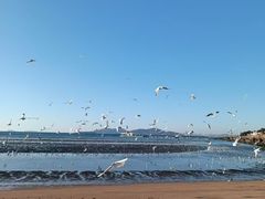 -青岛第三海水浴场