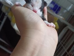 -刘家窑(地铁站)