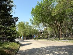 -枫花园汽车电影院(朝阳公园店)