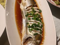 -金美华轩(东方路齐鲁店)