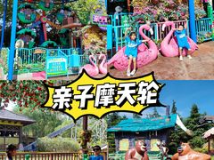 -郑州方特梦幻王国