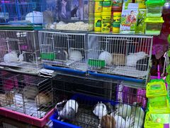 -双季花艺园艺市场(浦东店)