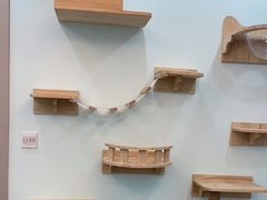 -天时宠物医院24小时疑难病例会诊中心(顾乡大街总院)