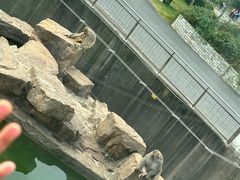 -无锡动物园·太湖欢乐园