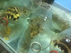 螳螂虾-蟹皇海鲜餐厅