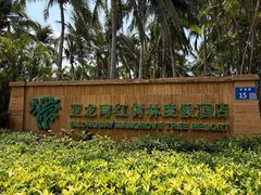 -三亚亚龙湾红树林度假酒店