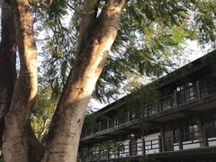-路思义教堂