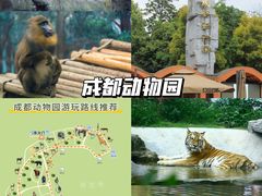 -成都动物园