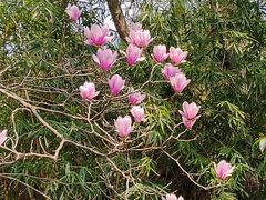 -贵阳市花溪国家城市湿地公园
