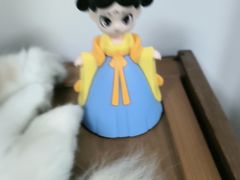 -海底捞火锅(上地华联店)