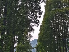 -青城山