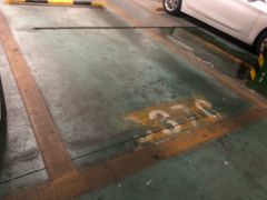 -钟掌勺忘不了地道湘菜(新天地假日广场店)