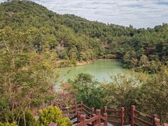 -广州白江湖森林公园