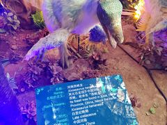 -中国西峡恐龙遗迹园