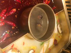 -九鼎轩脆毛肚火锅(商业街店)