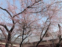 -伪满皇宫博物院