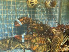 -喜棠·长沙家宴·海鲜·湘菜(麓谷店)