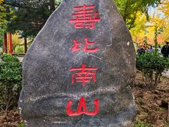 -金城公园