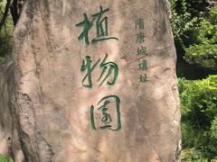 -洛阳市隋唐城遗址植物园