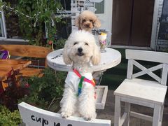 -一杯海(国际海水浴场店)