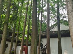 -汇龙潭