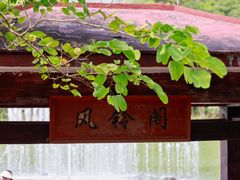 -广州白江湖森林公园