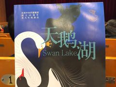 -北京大学百年讲堂
