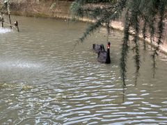 -上海虹桥迎宾馆