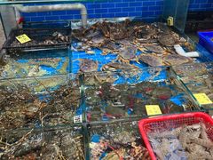 -船奇蒸汽海鲜·闽菜(八市海鲜总店)