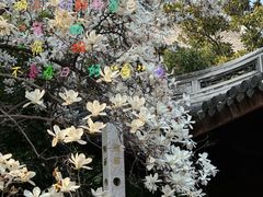 -龙华寺