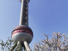 -东方明珠广播电视塔