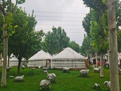 -九十九顶毡房(阜石路店)