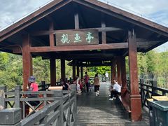-海珠湖公园