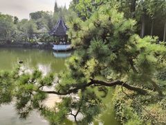 -上海醉白池公园