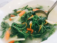 米湯浸桑葉-岭南海晏楼(东晓南店)