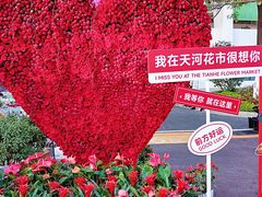 -天河体育中心
