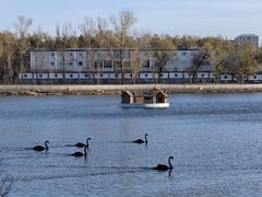 -长春市南湖公园