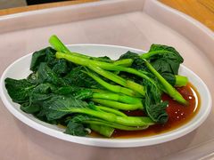 -金鼎轩(阜成门店)