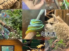 -上海大自然野生昆虫馆(东方明珠·爬宠昆虫探索中心)