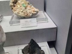 -湖南省地质博物馆