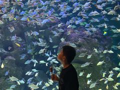 -成都浩海立方海洋公园