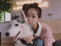 -Husky Go! 哈士奇体验馆·宠物咖啡厅狗咖