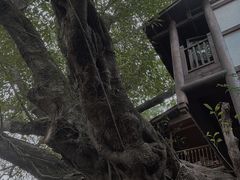 -偏岩古镇
