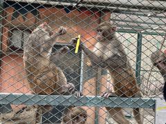 -水上乐园·欢乐世界