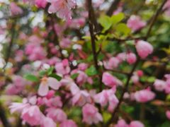 -舟山朱家尖绿城威斯汀度假酒店