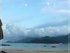 -花海间·即刻露营