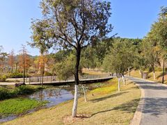 -东莞植物园