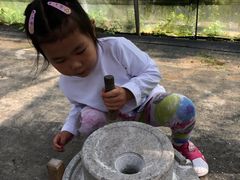 -前小桔亲子创意农场·草莓采摘·露营烧烤