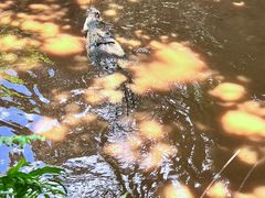-海南热带野生动植物园